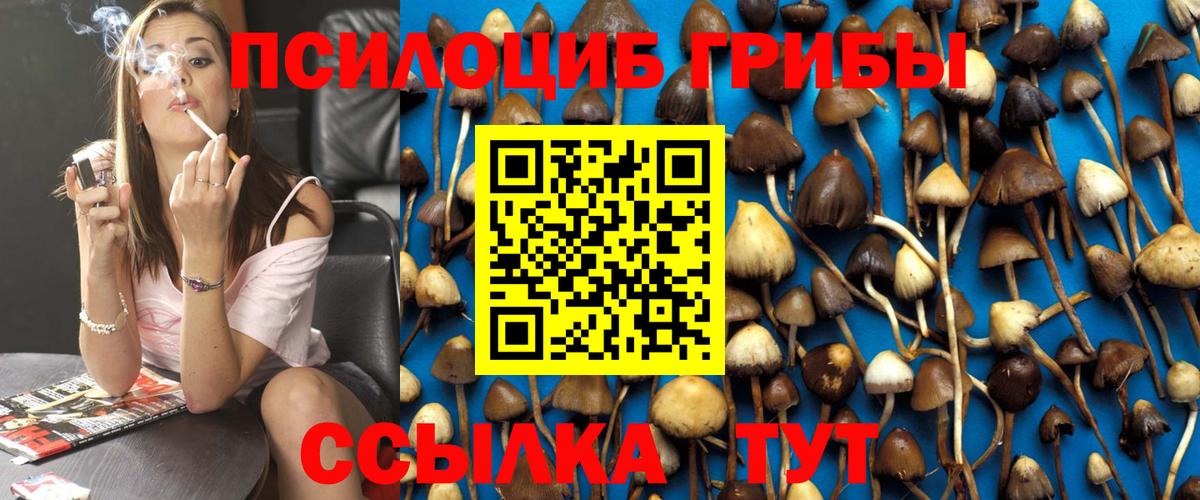 Псилоцибиновые грибы мицелий  Вход с VPN  где найти   Зима 