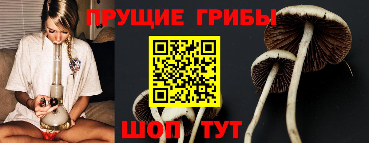 Галлюциногенные грибы MAGIC MUSHROOMS Зима